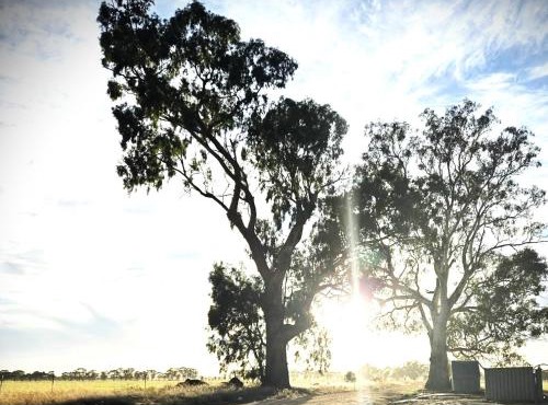 Redgum River Retreat
