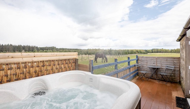 Redlands Country Lodge Log Cabin Apartments & WeeBothy