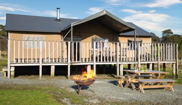 Redshank at Bleasdale