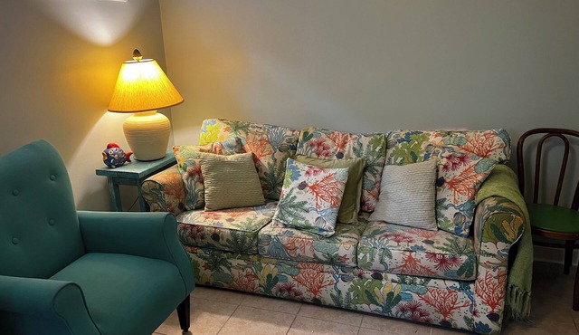 Reduced rate and steps to Ocean in Adult Only Newly Renovated Apt. Pet friendly!