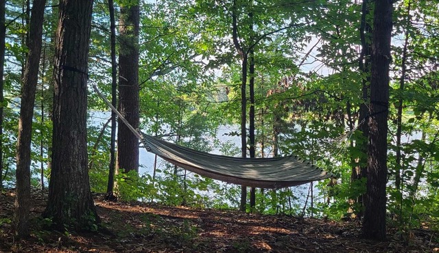 Redwing Lake house, waterfront property on Muskrat lake. Game room & big dock.