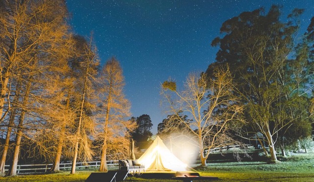 Redwood Glamping Tent