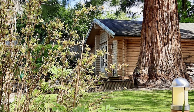 Redwood Lodge: unwind in your very own log cabin