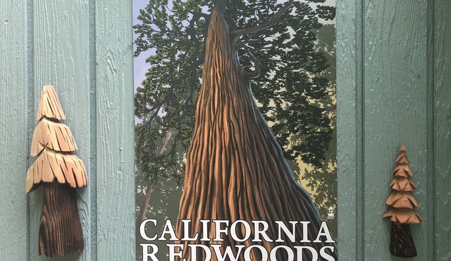 Redwood Retreat