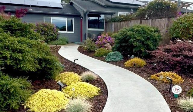 Redwoods & Hammond Trail Retreat