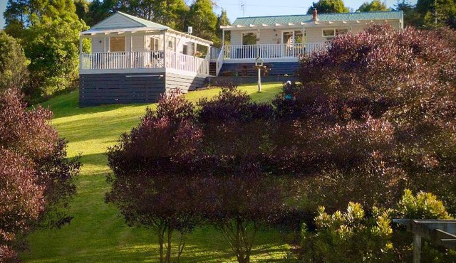 Redwoods Rest/Cabins/Wander & Explore