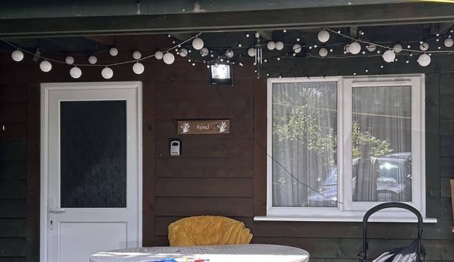 Reed by Paymán Club