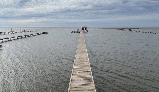 Reel Cajun - Boat Access - Island Realty