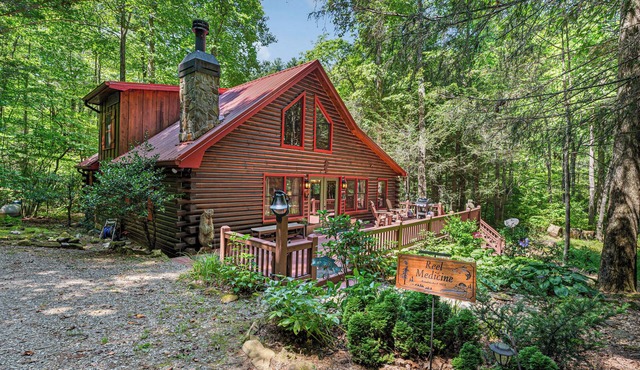 Reel Medicine- Cherry Log GA