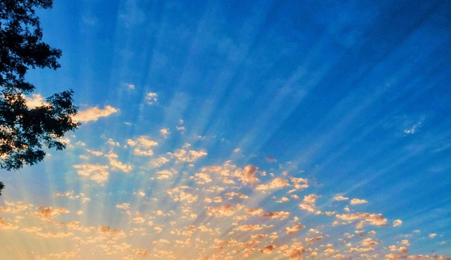 Reel Suite Cottage at the Lake