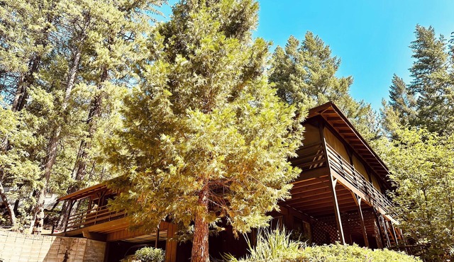 Reflection Point Retreat