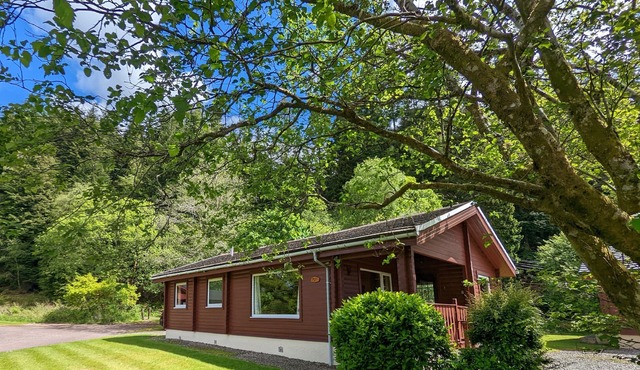 Refurbished Stylish, Comfy & Cosy traditional log cabin, dogs & families welcome