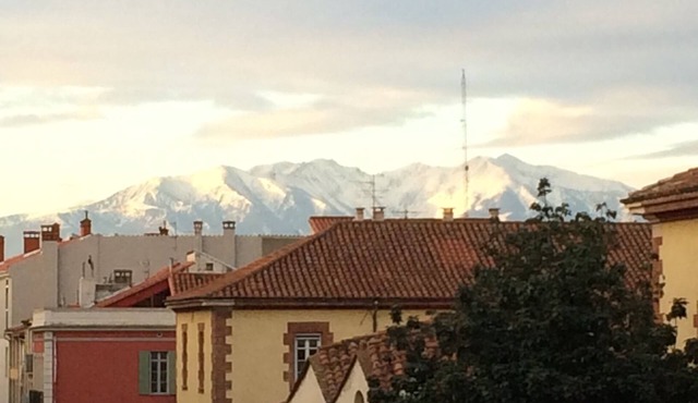 Refurbished T2 apartment with lots of charm in the historic center of Perpignan