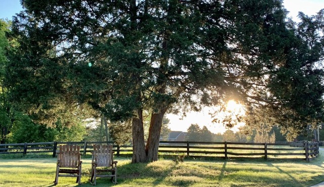 Regal Ranch Retreat *DOG & HORSE FRIENDLY*