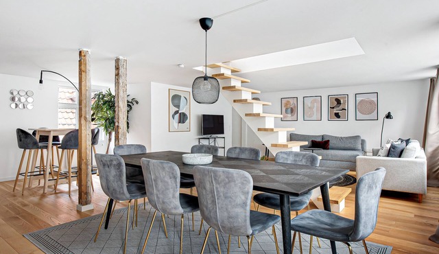 Regent 5 - Large Apt with Terrace right in Centre of Copenhagen