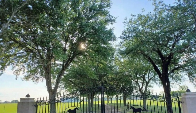 Relax and enjoy the sunset on a beautiful and peaceful farm (No Pets).