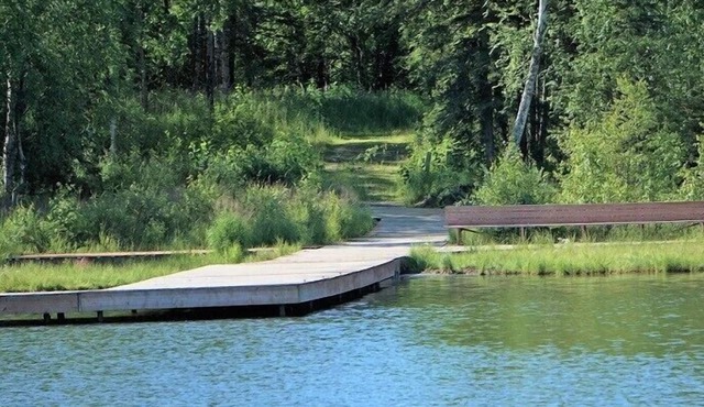 Relax and Recharge in Lakeside Serenity | Pet-Friendly
