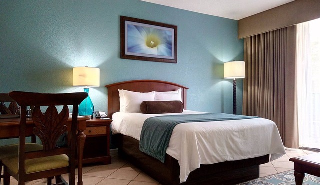 Relax at our Palm Tree secluded Resort with a poolside bar and waterslide