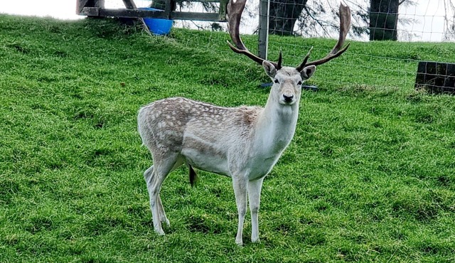 Relax at Stagga Arcadia, tranquil 1 bedroom suite on rural farmlet with spa