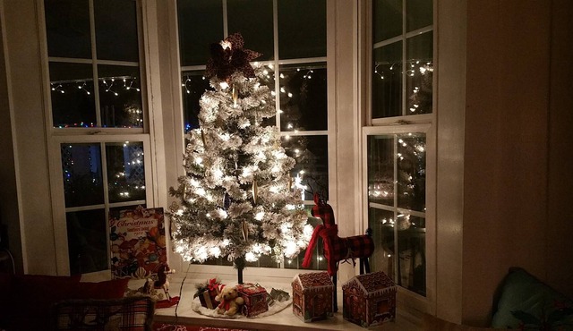 Relax at the Christmas Inn. Close to Rainbow Springs and the Florida Green-way