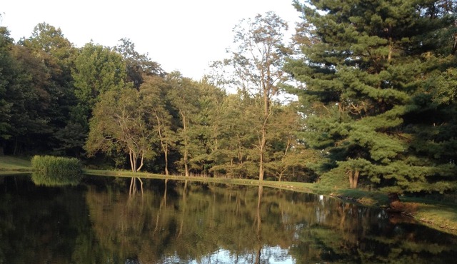 Relax at this Tranquil Waterfront Home