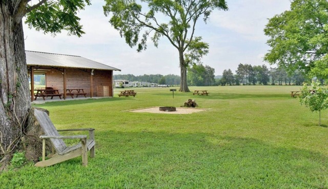 Relax by the Fire Grill and Dine Under the Stars