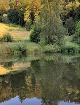 RELAX CHALET Nature Retreat - isolé sur 3 hectares - confort de LUXE - maison entière 150m2 - près de La Bresse