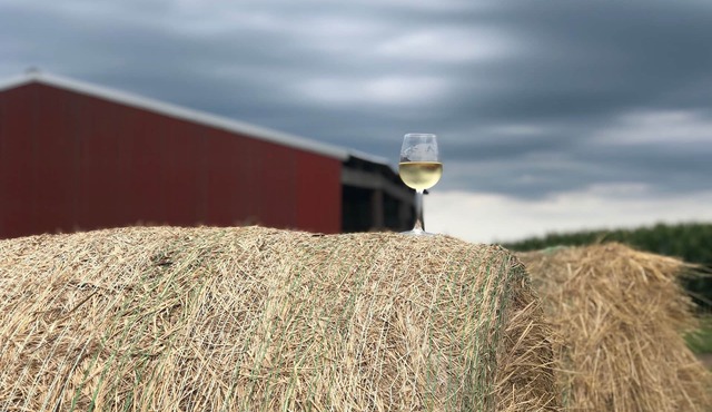 Relax Enjoy Country Living with Hot Tub