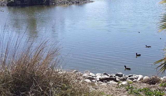 Relax. Enjoy. Create memories.