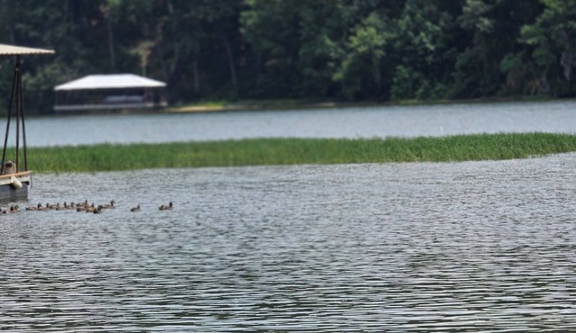 Relax, Fish, Repeat- Your Lakefront Vacation Starts Here