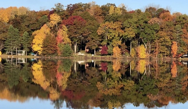 Relax in a Private Cabin on waters edge with your own private dock