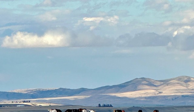 Relax in a private, designer two-story suite overlooking the Madison Valley