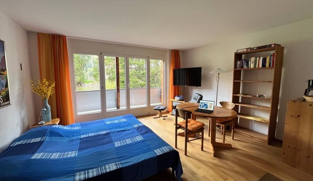 Relax in peace and quiet by Lake Davos with books, CDs and tea!