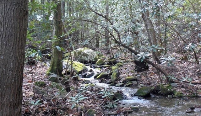 Relax in Seclusion at the 'Cozy Creekside Lodge' with Creekfront Sleeping Porch
