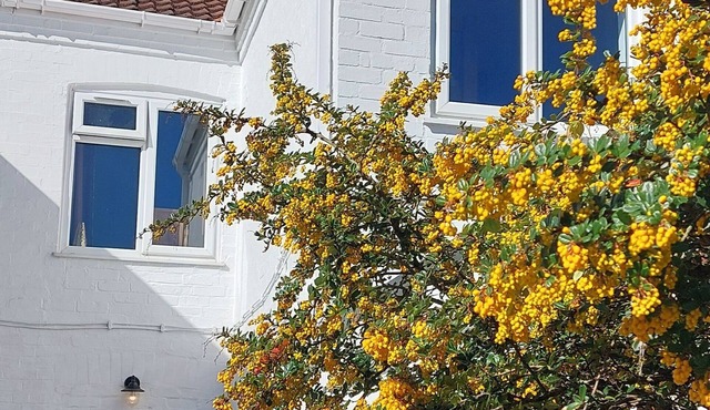 Relax in Style – Beautiful Family Home Near Clowne Greenway