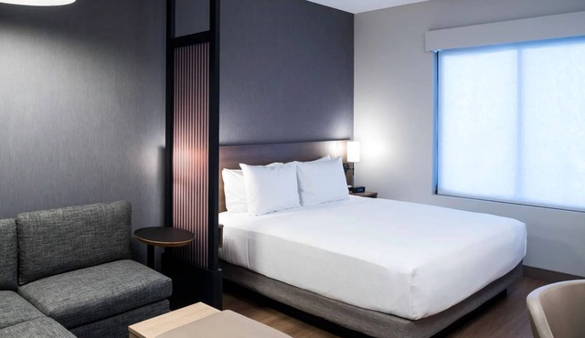 Relax in Tempe – Pool, Gym & Views, Steps to Mill Ave, Botanical Garden, & Shops