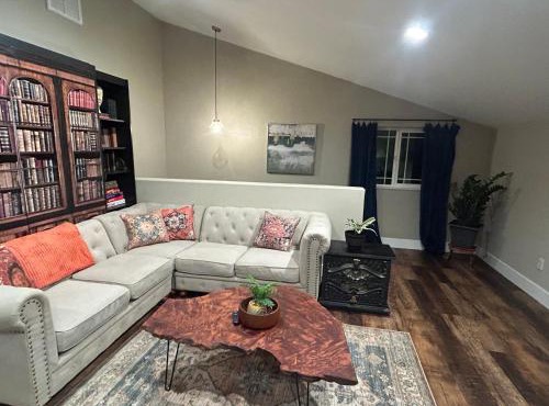 Relax in the Magical Forest