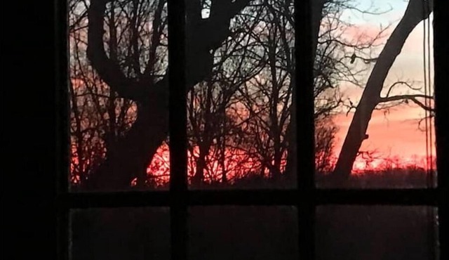 Relax in the Ozark woods at a quiet nature retreat with a private walking trail.