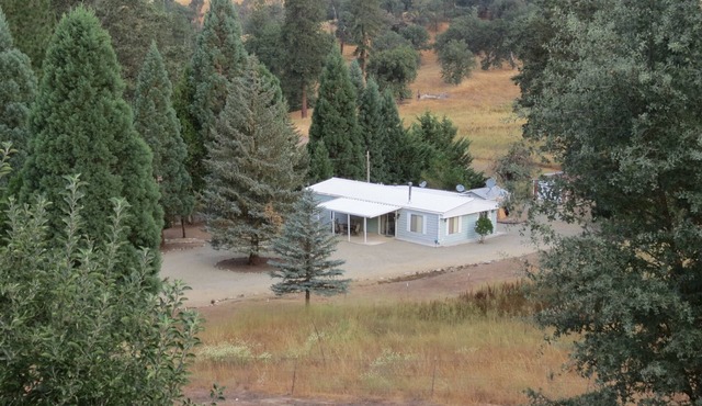 Relax in Your Own Private Pine Forest!