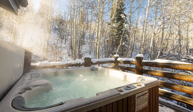Relax in Your Private Hot Tub with Wi-Fi & Tesla Charging Station Access!