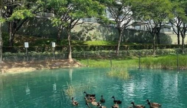 Relax Loft Suite 5pax@Sunway Gird