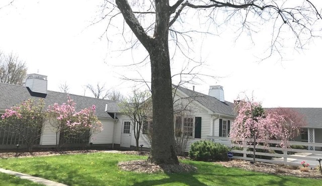 Relax near the water slides Kalahari Waterpark Resort - 14 mins