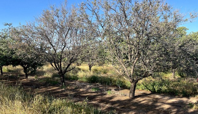 Relax on 475 acre scenic ranch, 4-Bed/BR, Surrounded by Nature, 1.5hr -Yosemite.