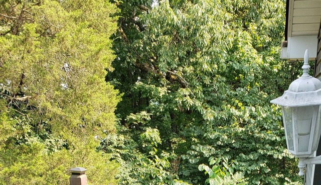 Relax on Lake Cumberland 5bdrm 3 Full Bath, near Somerset Updated w Lrg Drvwy