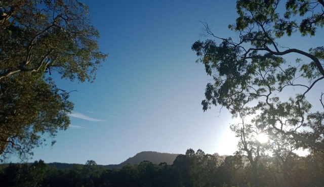 Relax on our farm, explore the local Tamborine and Canungra area