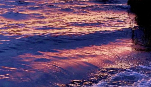 Relax or Play on the Choptank River!