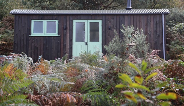 Relax & Recharge: Woodland Hideaway Shepherds Hut and Hot tub !