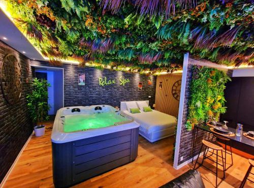 RELAX SPA-4 Pers-Jacuzzi-Parking-Jardin-Clim-Colmar