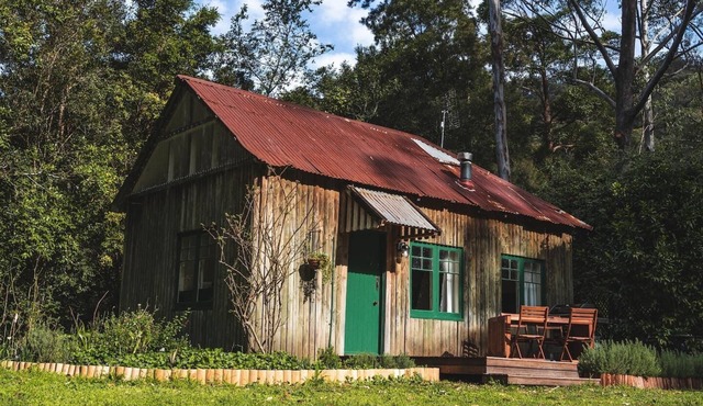 Relax to the sounds of the creek and birdlife in the rainforest at Jamberoo