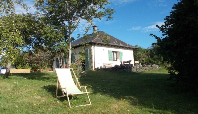 Relax under the walnut tree,
